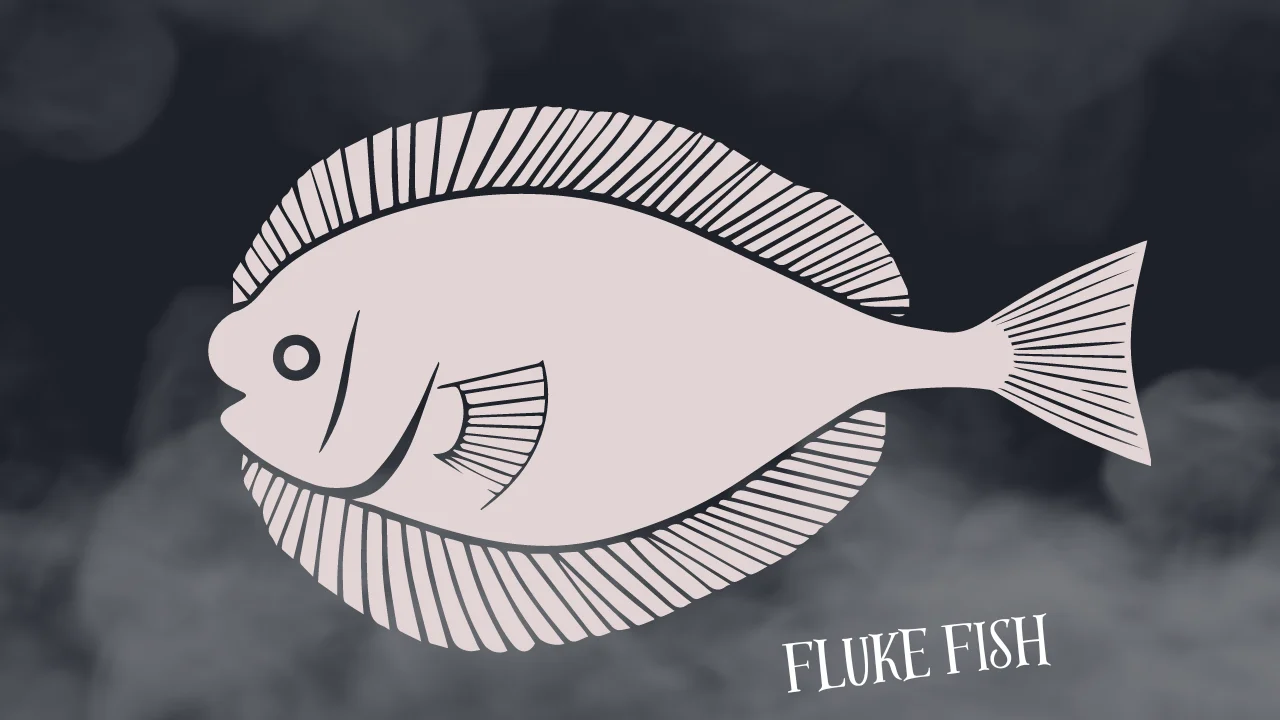 Fluke Fish