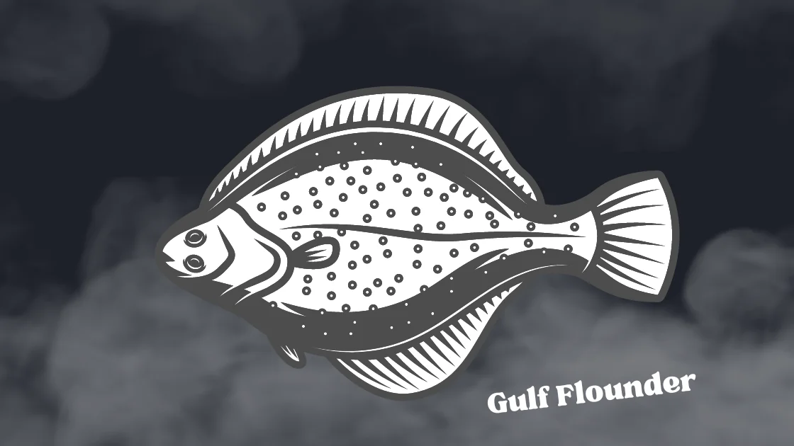 Gulf Flounder