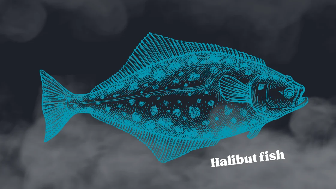 Halibut