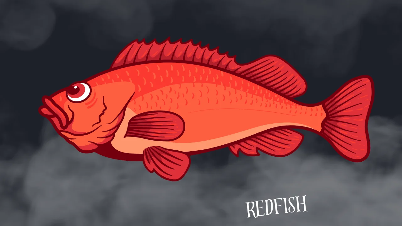 Redfish, How To Catch Redfish