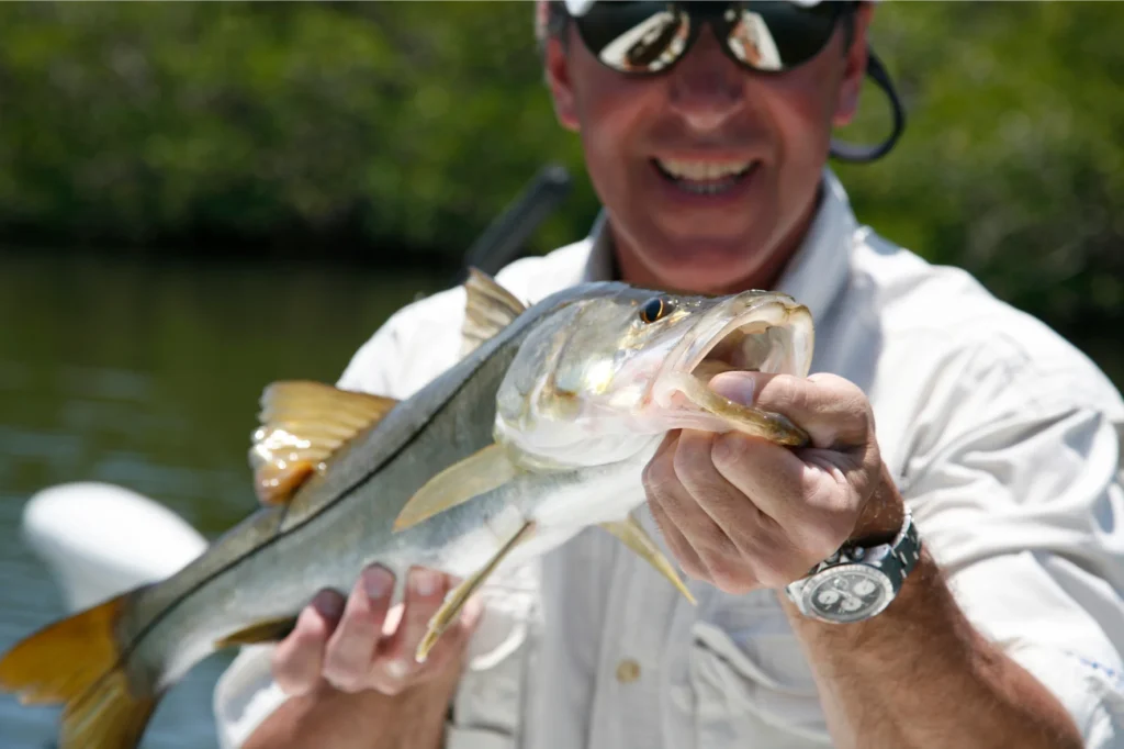 common snook