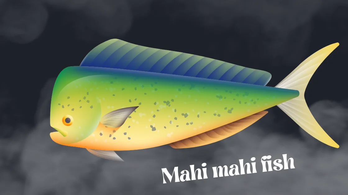 mahi mahi fish